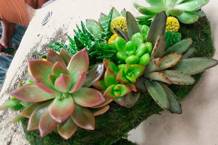 Wine & Design: Kokedama Succulent Ball