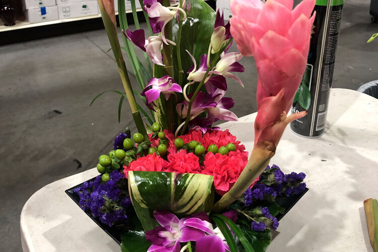 Tantalizing Tropicals Design Class