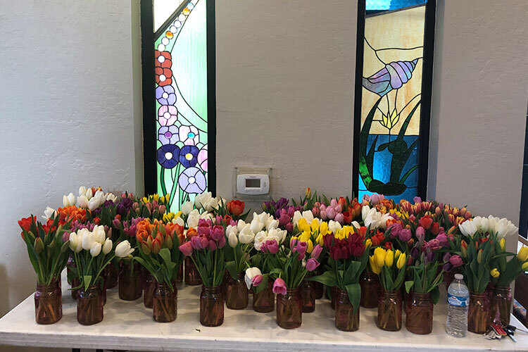 UMOM Tulip Sale/Donation Drive