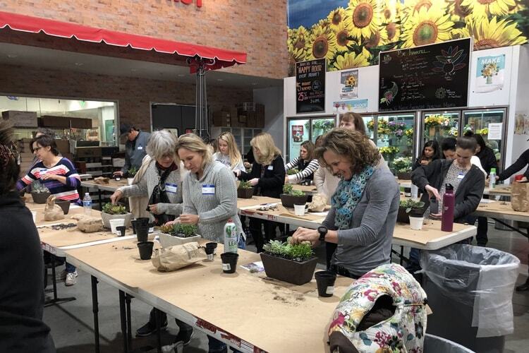 Succulent Dish Garden Design Class Recap