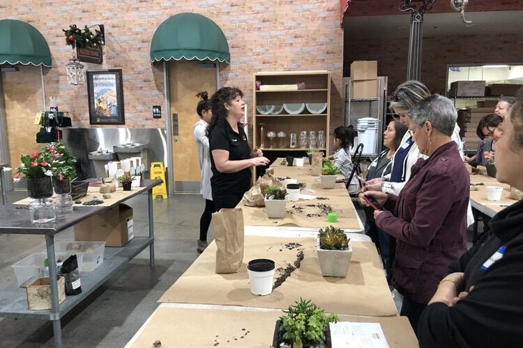 Succulent Dish Garden Design Class Recap