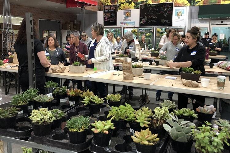 Succulent Dish Garden Design Class Recap
