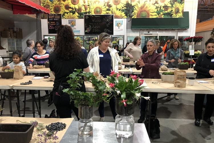 Succulent Dish Garden Design Class Recap