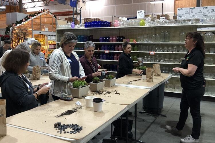 Succulent Dish Garden Design Class Recap