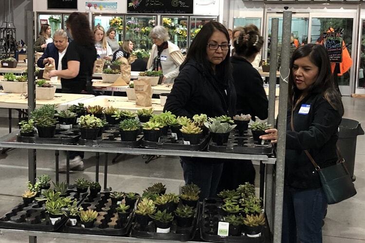 Succulent Dish Garden Design Class Recap