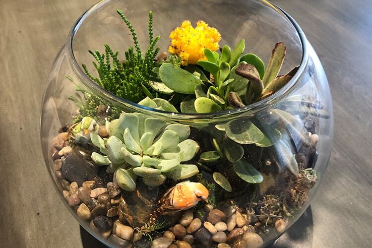 DIY Terrarium Open House