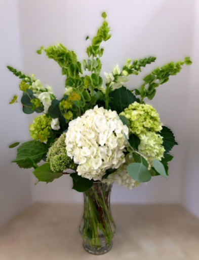 St. Patrick&rsquo;s Day floral arrangement features white and green hydrangeas, Bells of Ireland, white snapdragons, and bupleurum for a fresh, festive touch.
