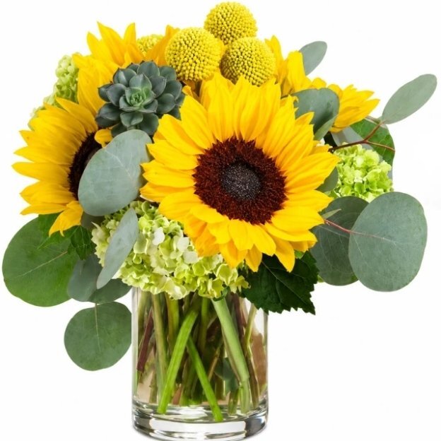 Glass vase bouquet with sunflowers, green hydrangea, yellow billy balls, eucalyptus leaves, and greenery.