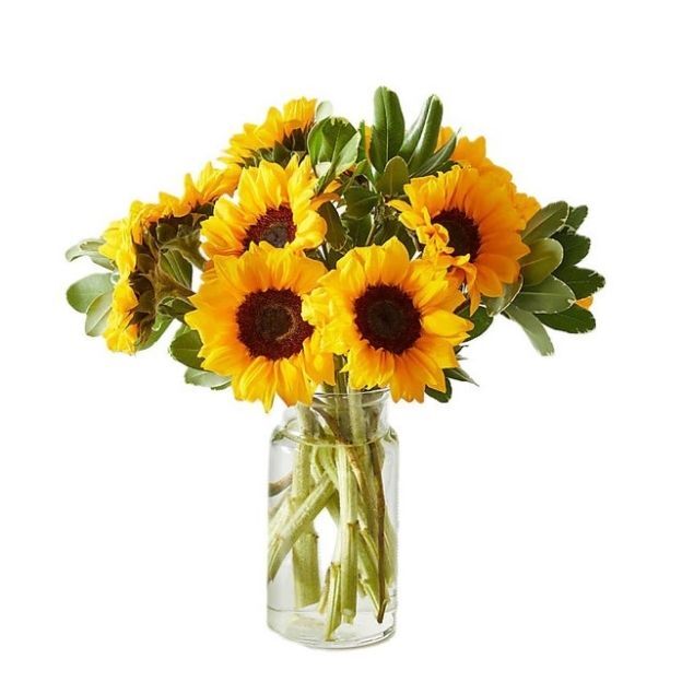 Bright sunflower bouquet with green foliage arranged in a clear glass vase with water.