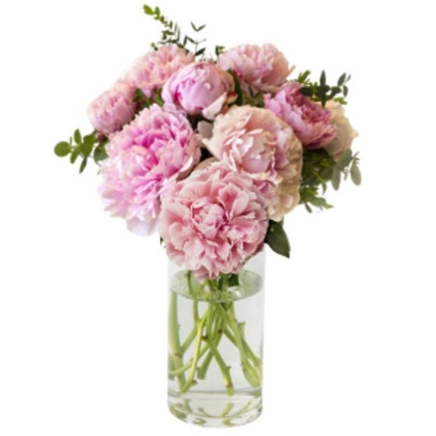 Vase filled with light pink peonies and green leaves, arranged in a clear glass cylinder with water at the base.
